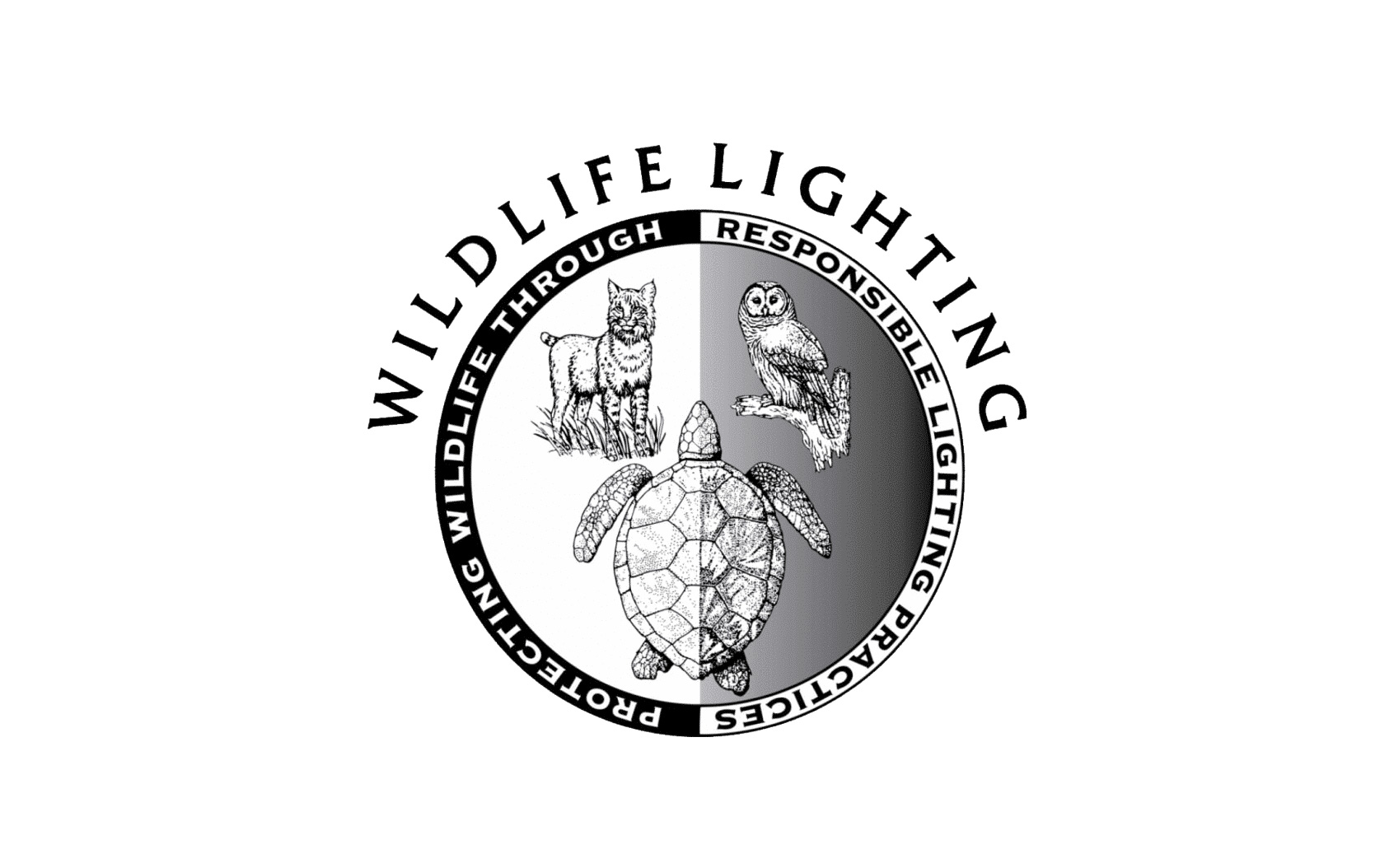 Insights_InPage_TurtleFriendly_1