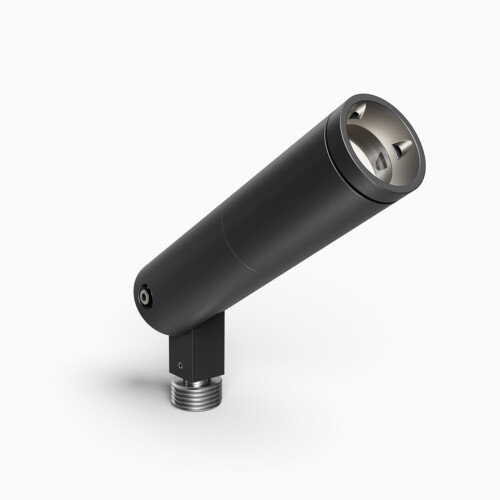 Black Accent Light