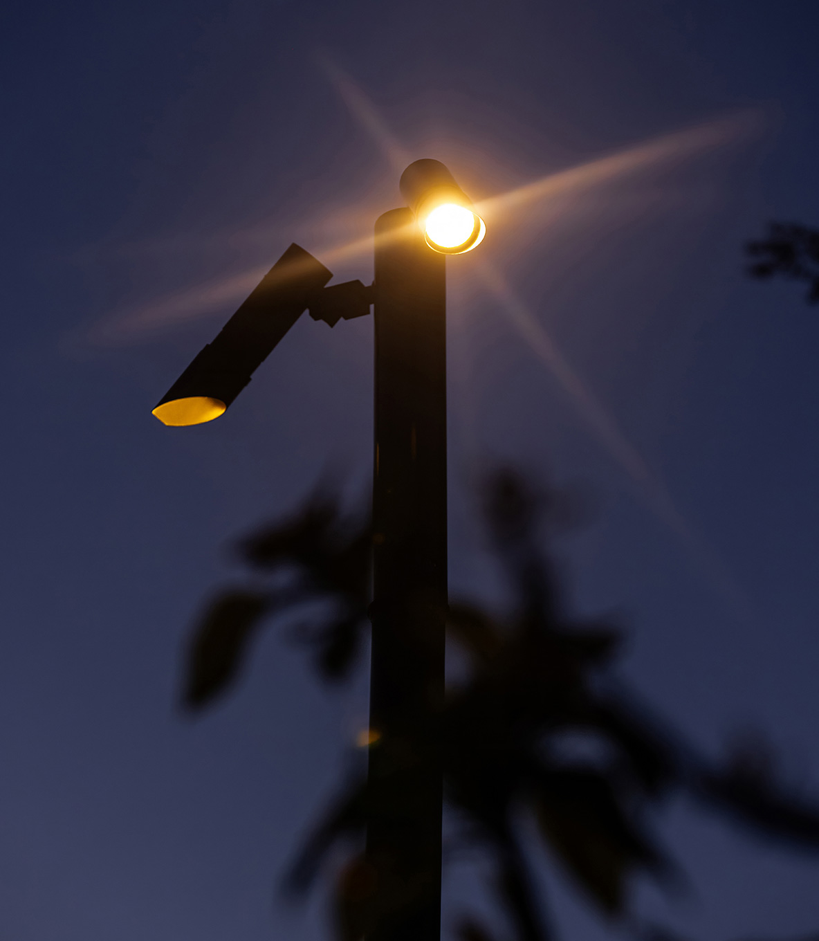 Gallery_2Column_LakeshorePark_1