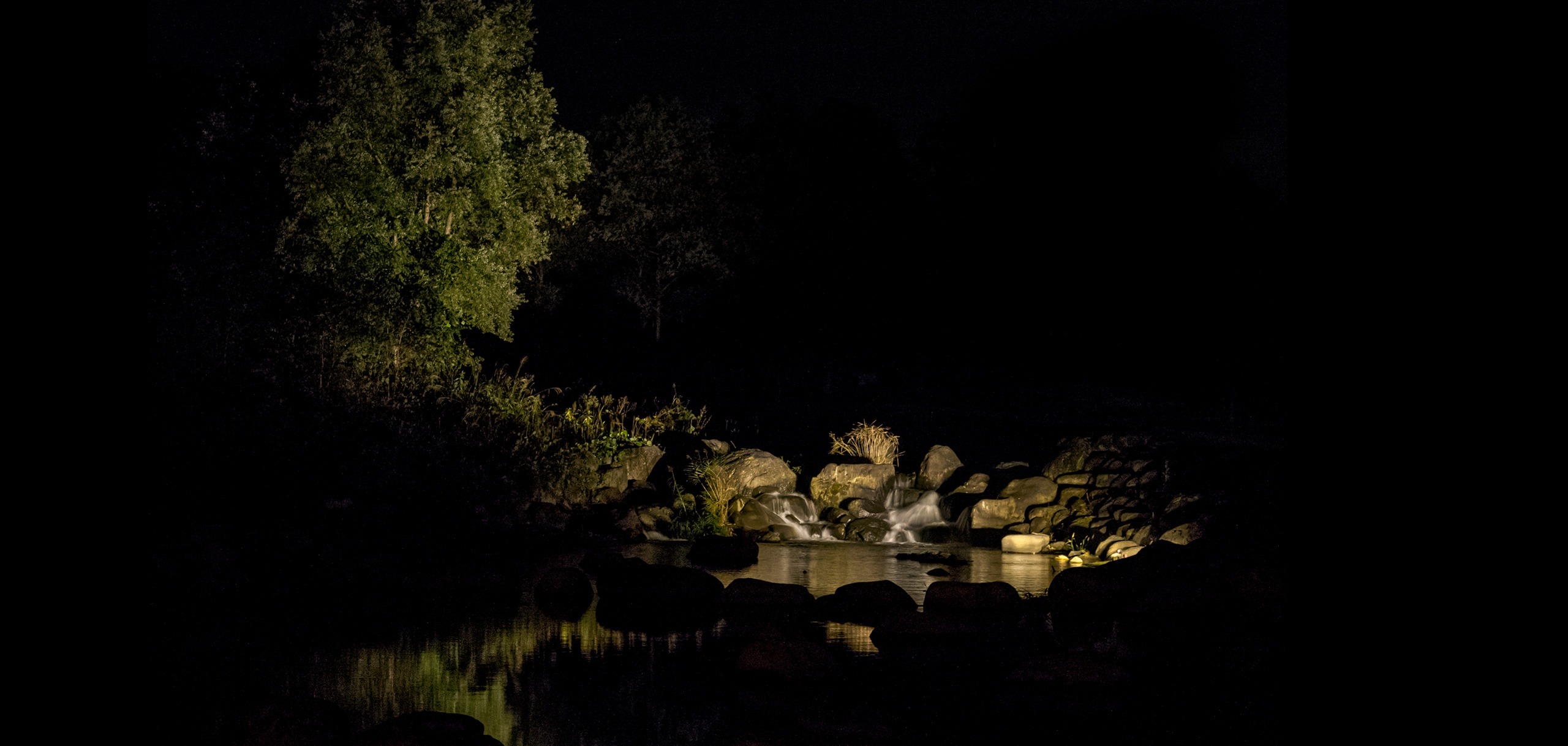 Outdoor nighttime landscape with low-voltage 12V lighting illuminating trees, rocks, and water features