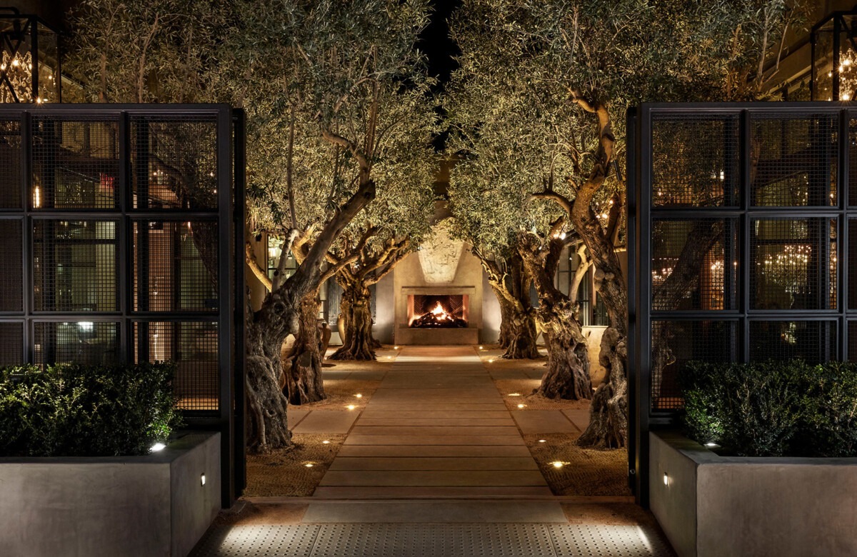 courtyard tree lights