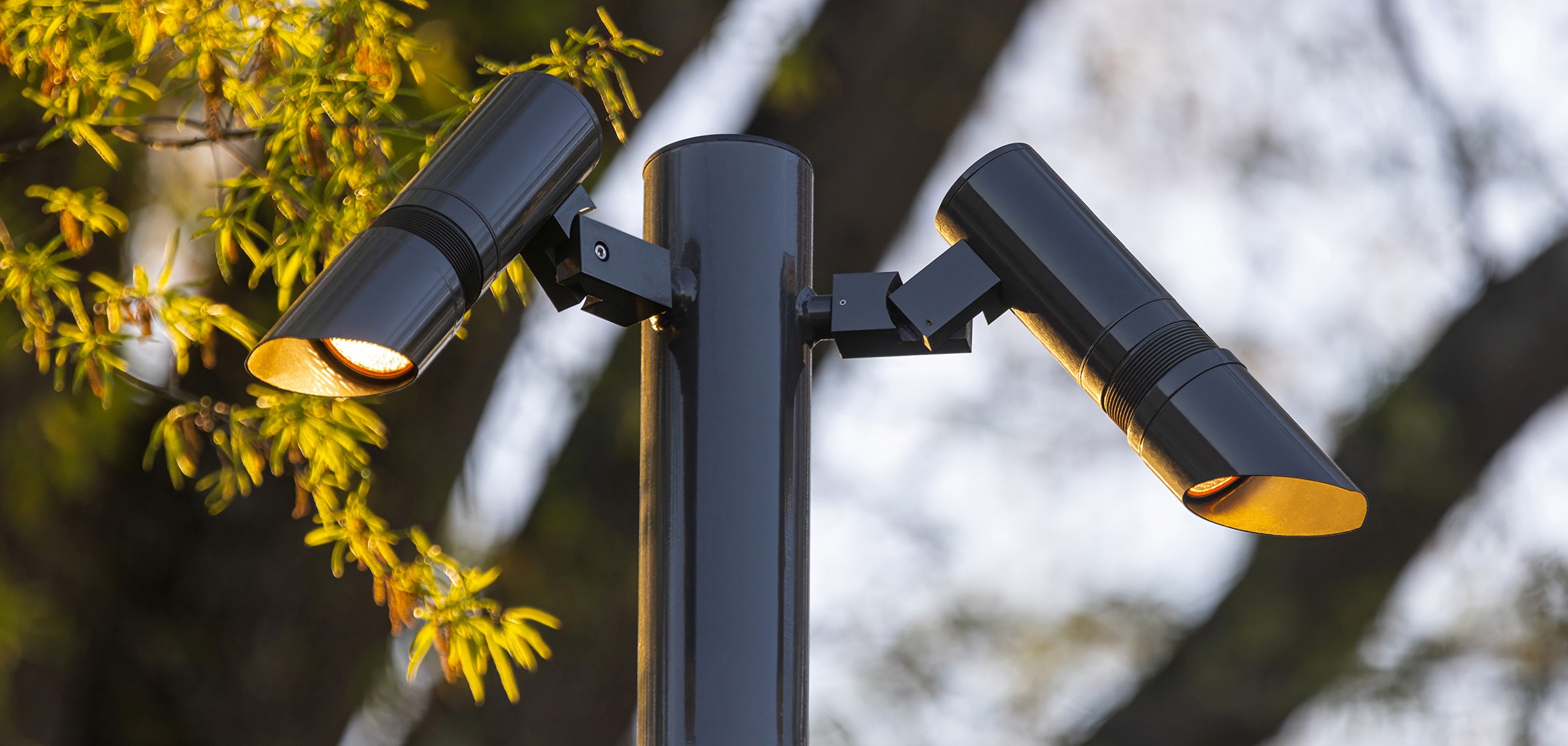 Three black 120V outdoor LED spotlights mounted on a pole illuminating surrounding landscape at dusk