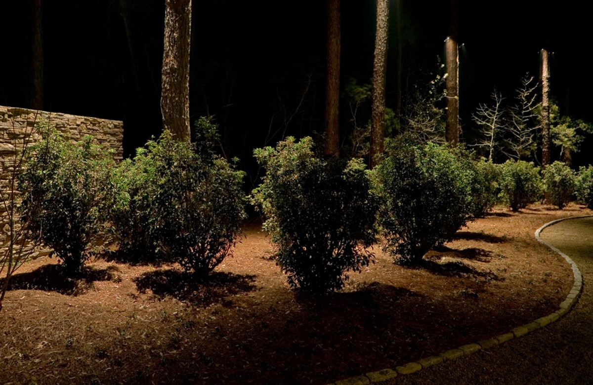 low-voltage LED fixture highlighting garden plants.