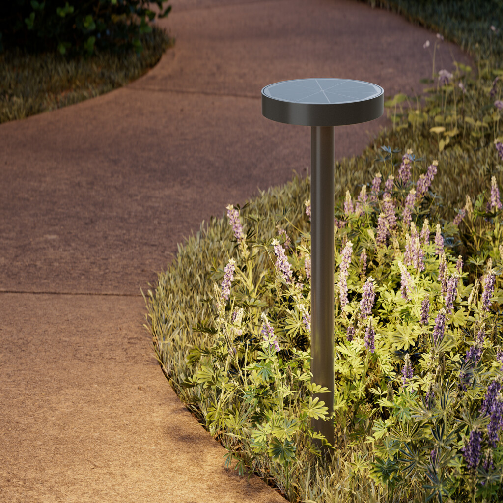 Insights InPage TraceSeries Square 7a