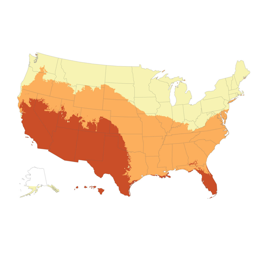 Insights InPage TraceSeries Square 8
