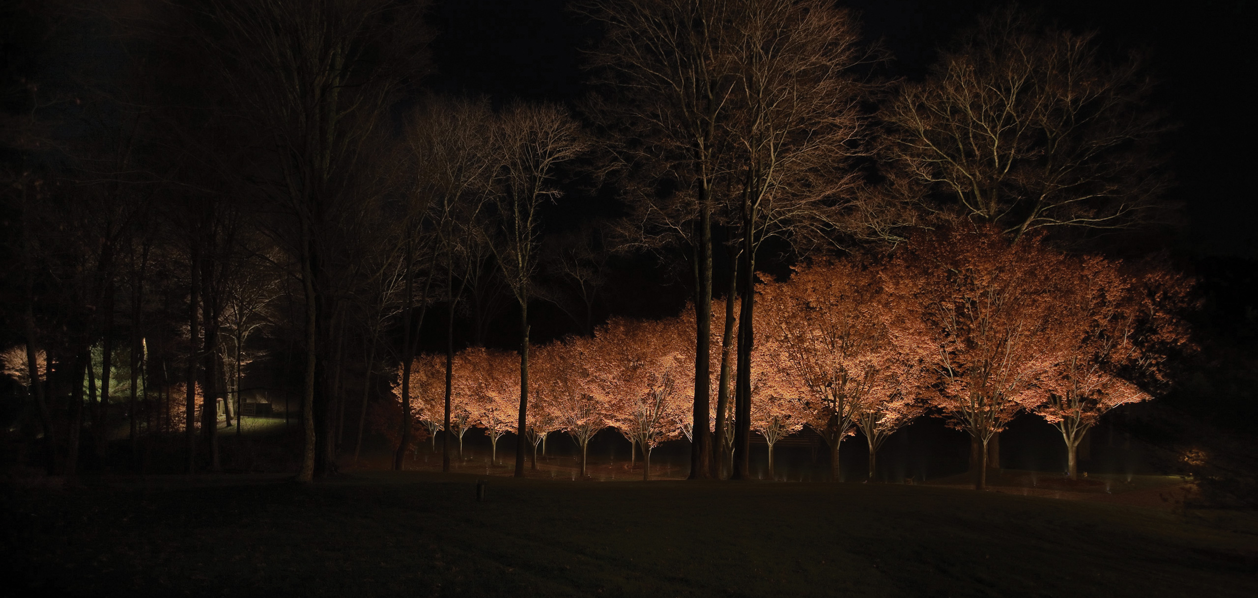 SEO Featured Outdoor Accent Lighting 1