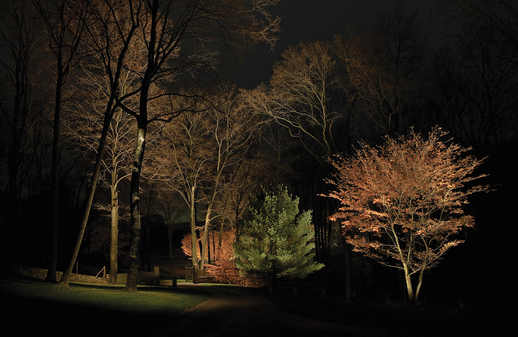 SEO InPage Outdoor Accent Lighting 5