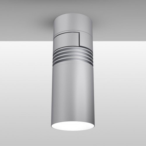 Ceiling/Down Light